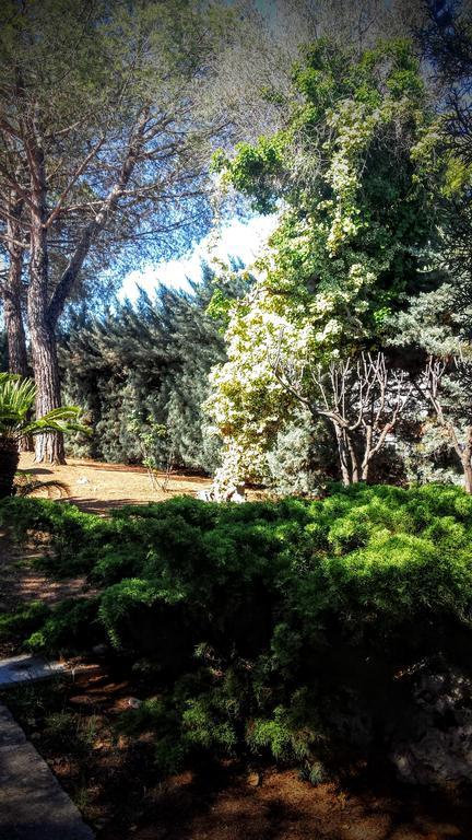 Bed And Breakfast La Villa Ambienti Sanificati Con Generatore Di Ozono バーリ エクステリア 写真